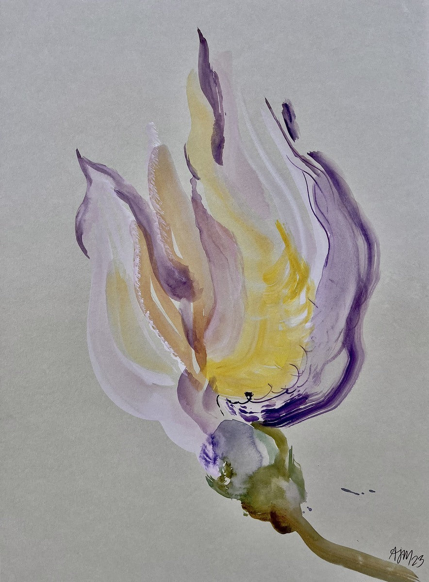 Anne Sofie Meldgaard