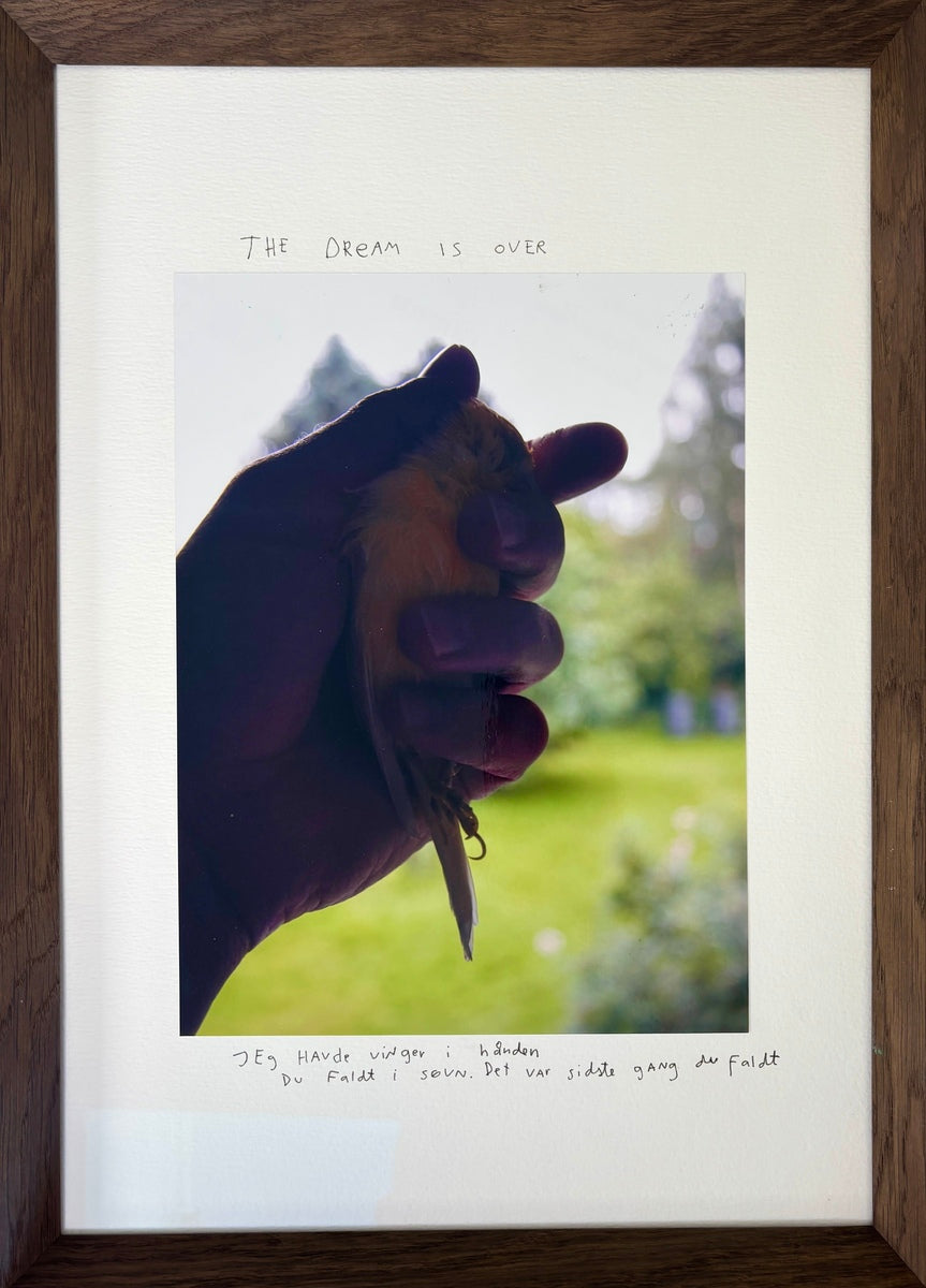 The dream is over (Jeg havde vinger i hånden. Du faldt i søvn. Det var sidste gang du faldt)