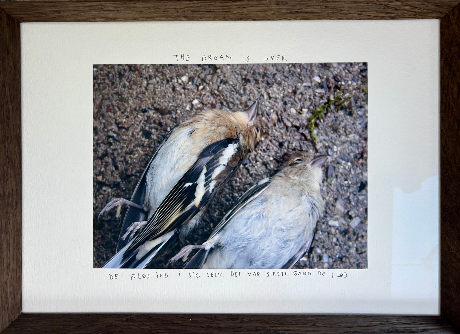 The dream is over (De fløj ind i sig selv. Det var sidste gang de fløj)