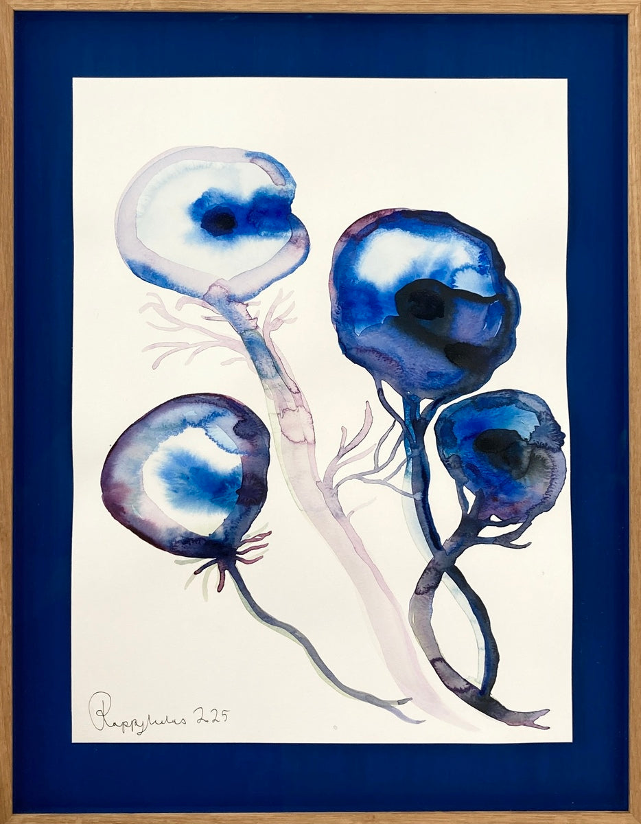 Blue Poppy