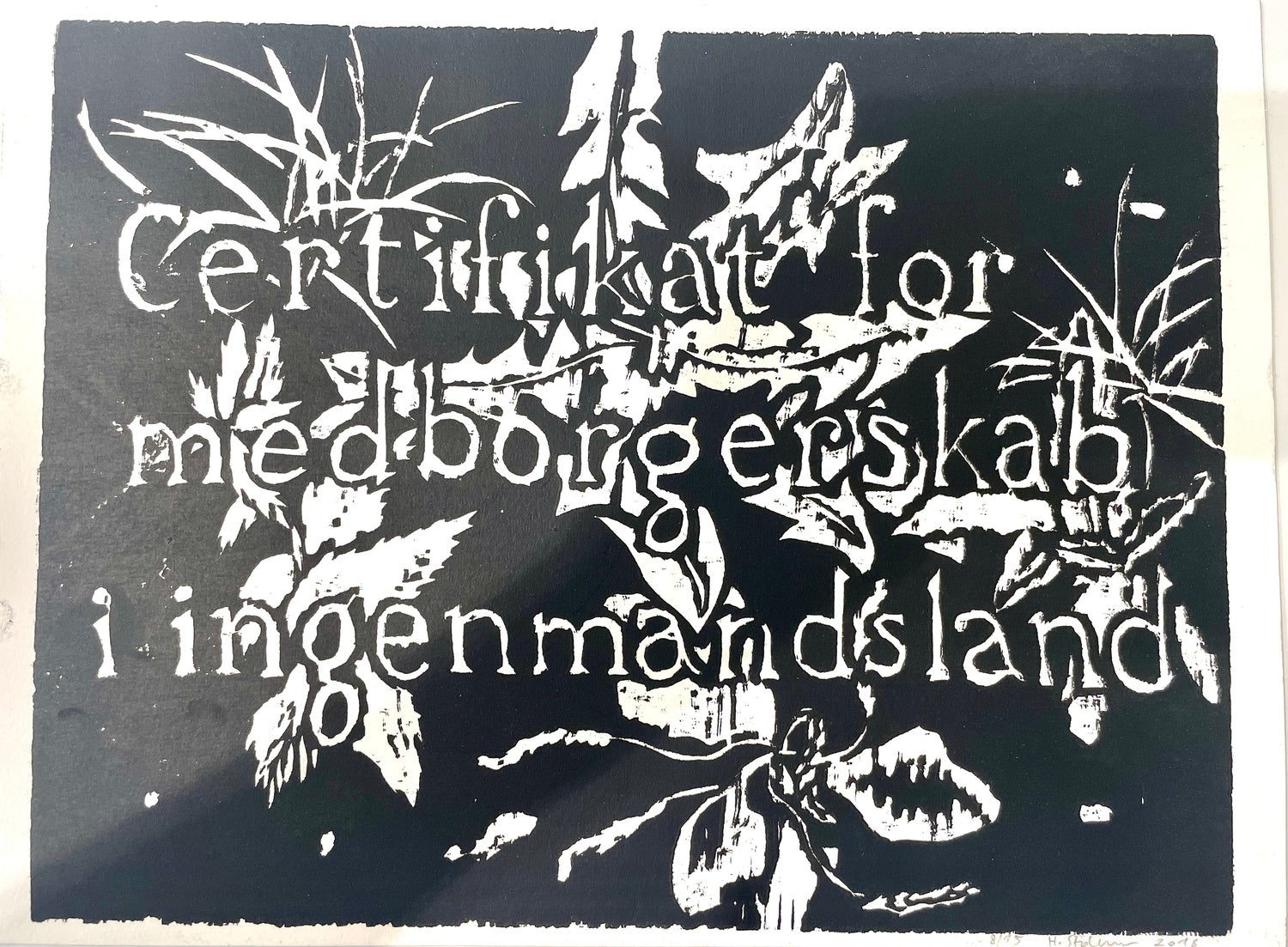 Certifikat for medborgerskab i ingenmandsland