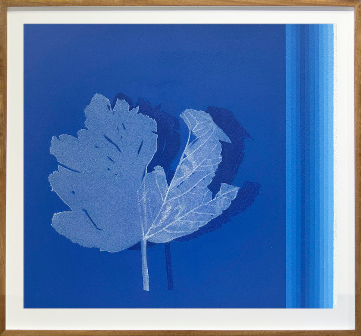 Maple Leaves