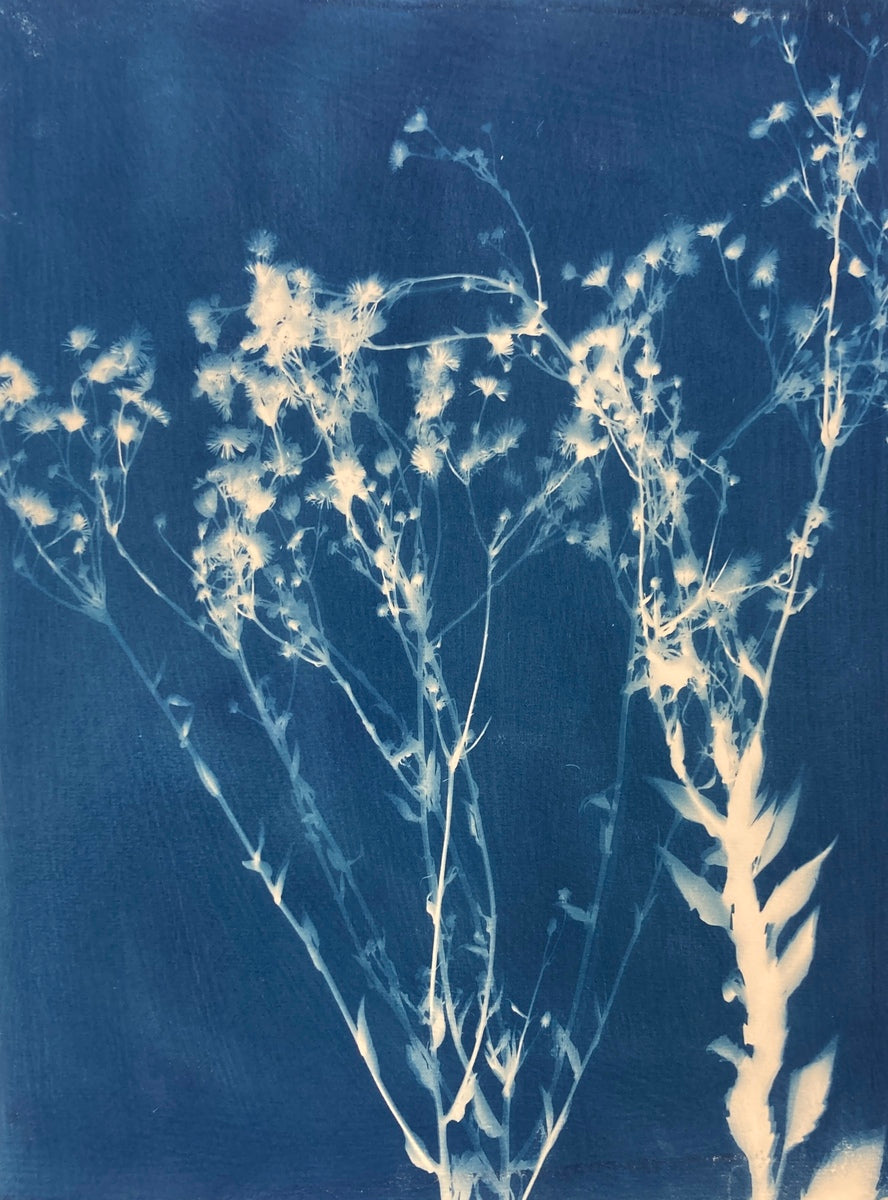 Magisk Have m. ramme