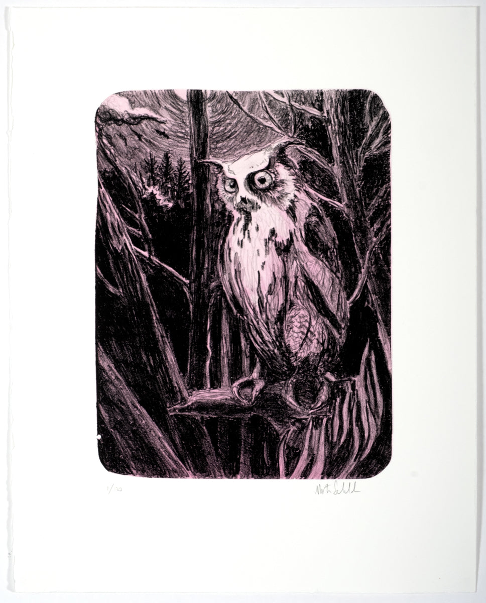 Night Owl