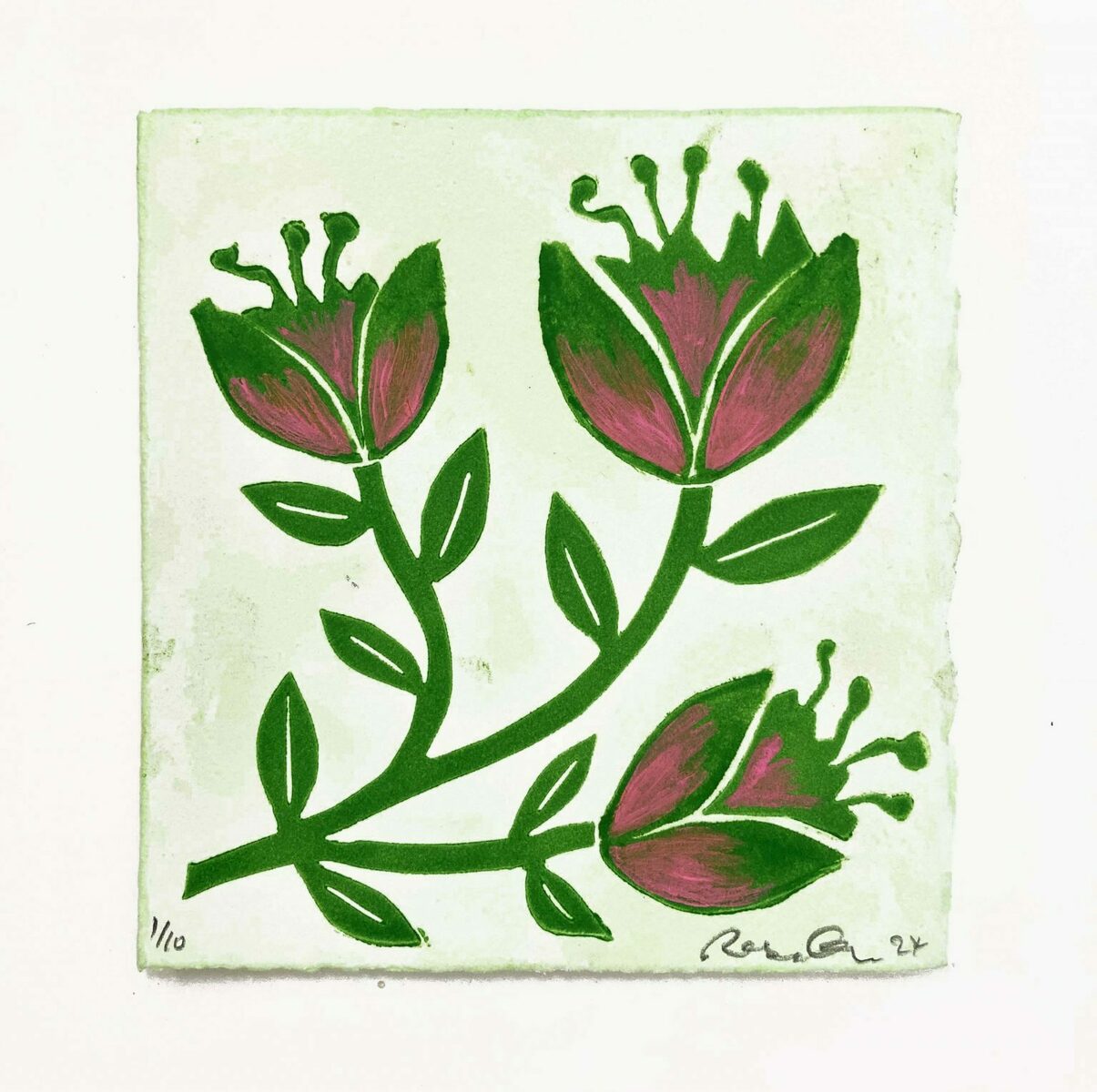 Tulip (Green and Pink)