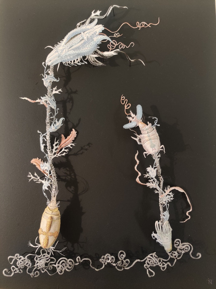 Aquatic plant herbarium