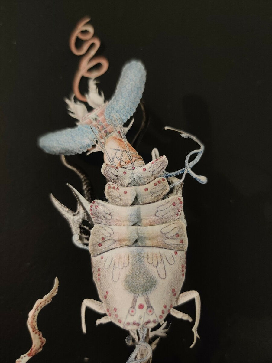 Aquatic plant herbarium