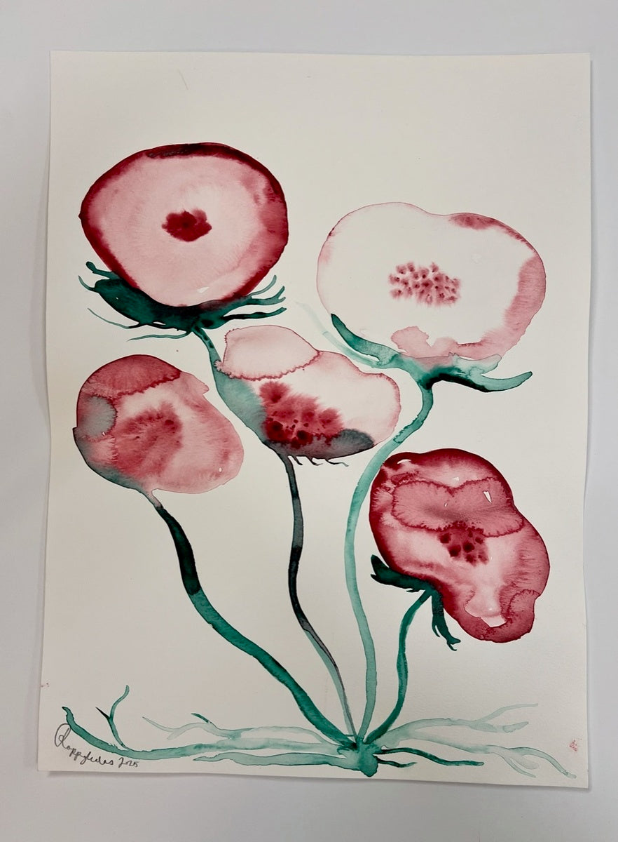 Red Poppy