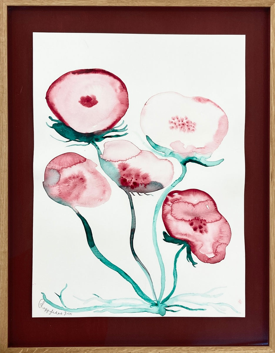 Red Poppy