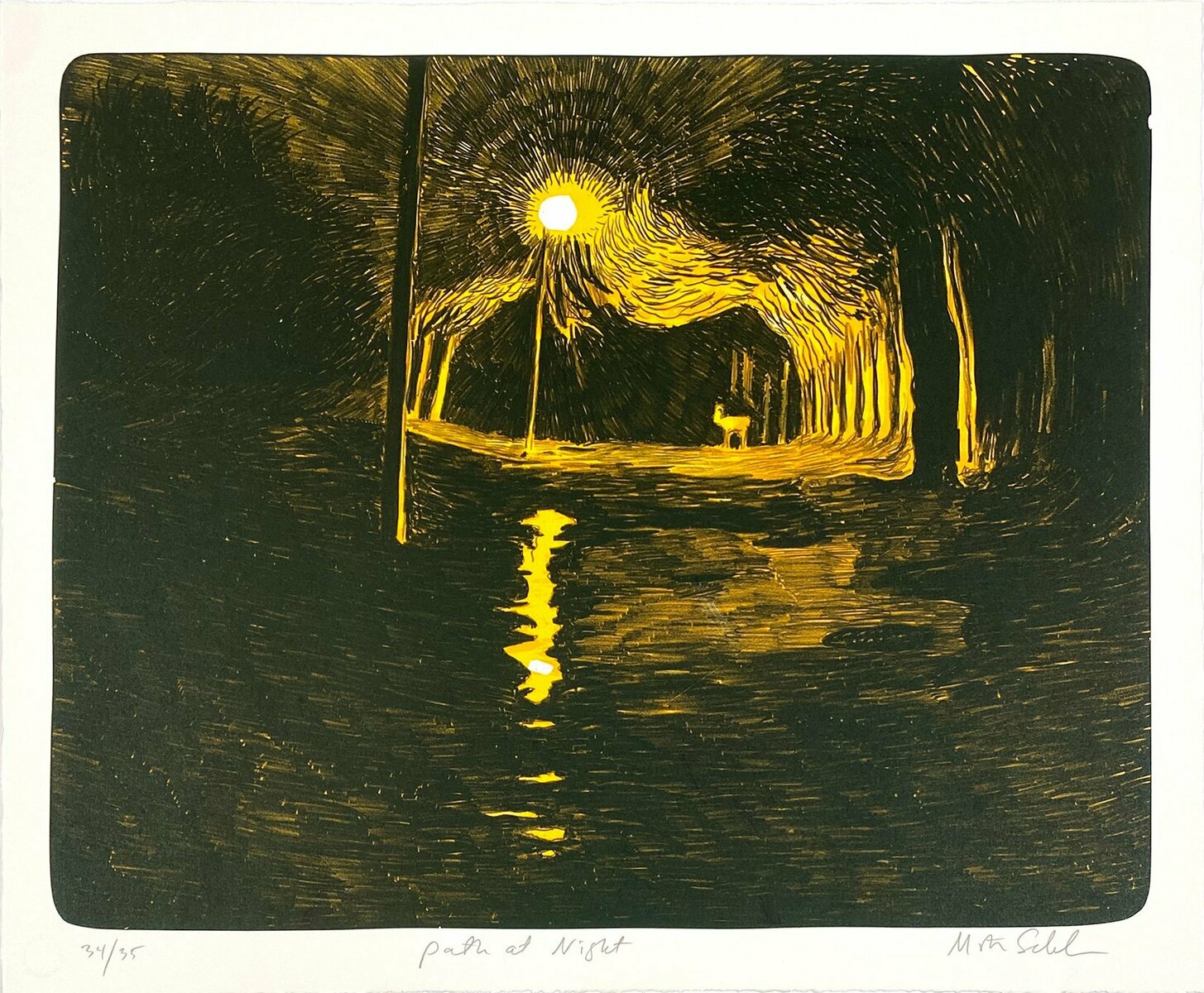 Path at Night