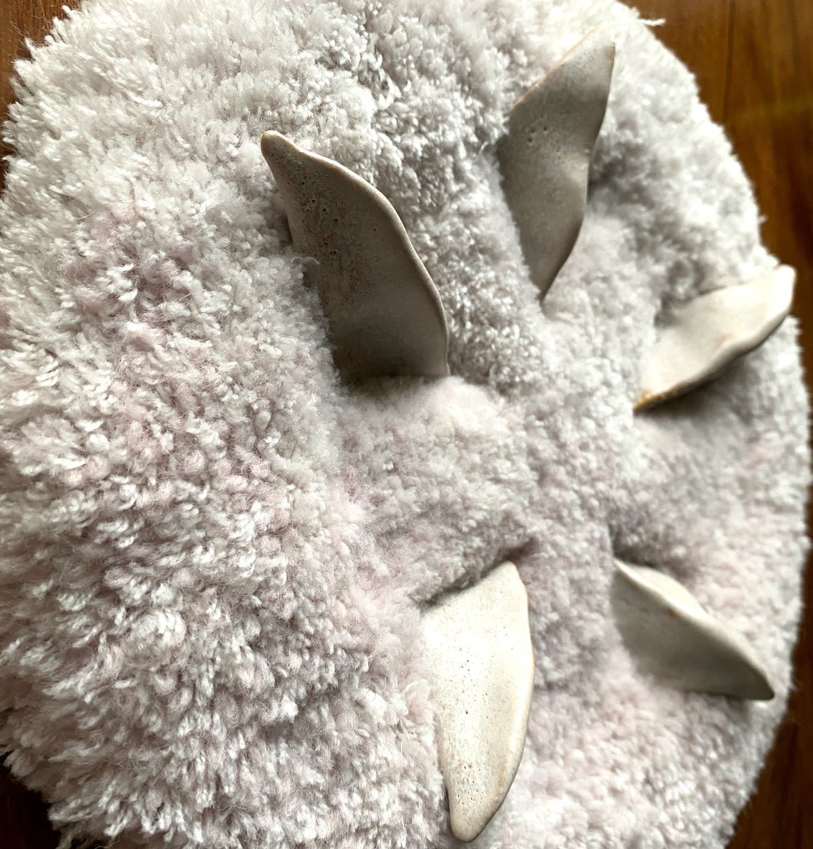Fur and Nails