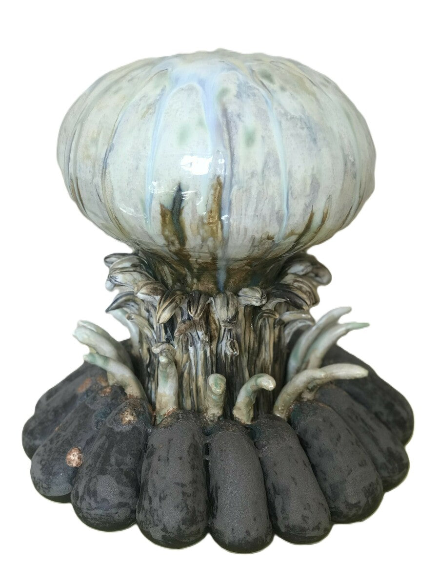 Capsule