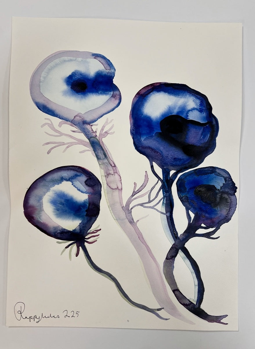 Blue Poppy