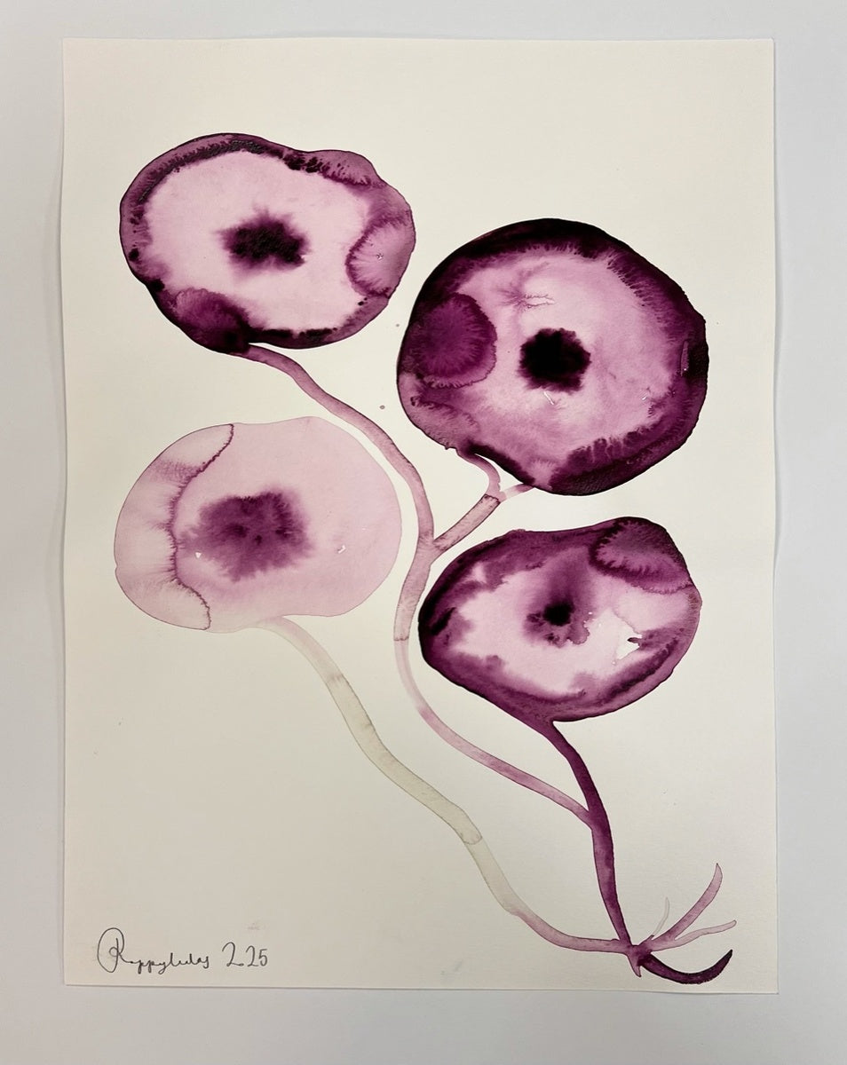 Purple Poppy