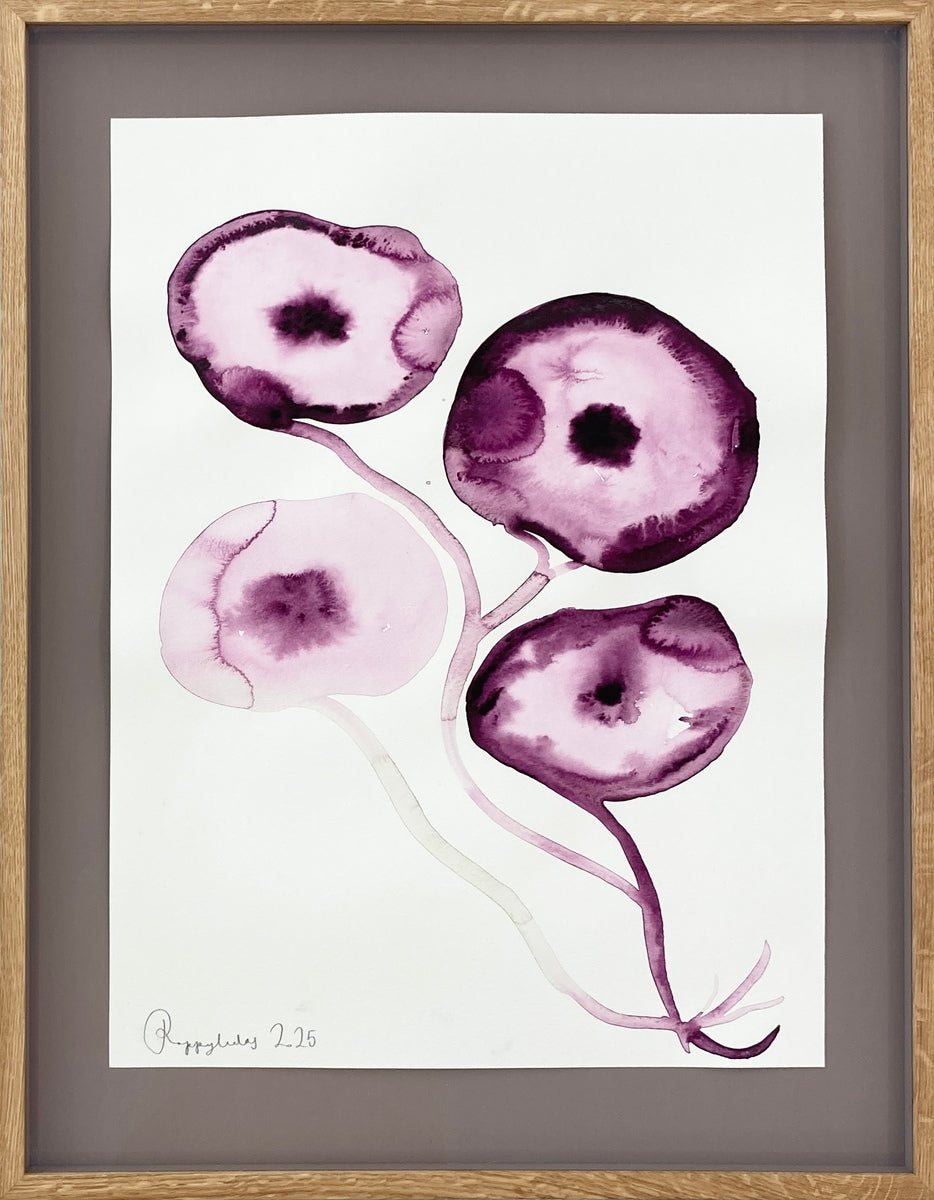 Purple Poppy
