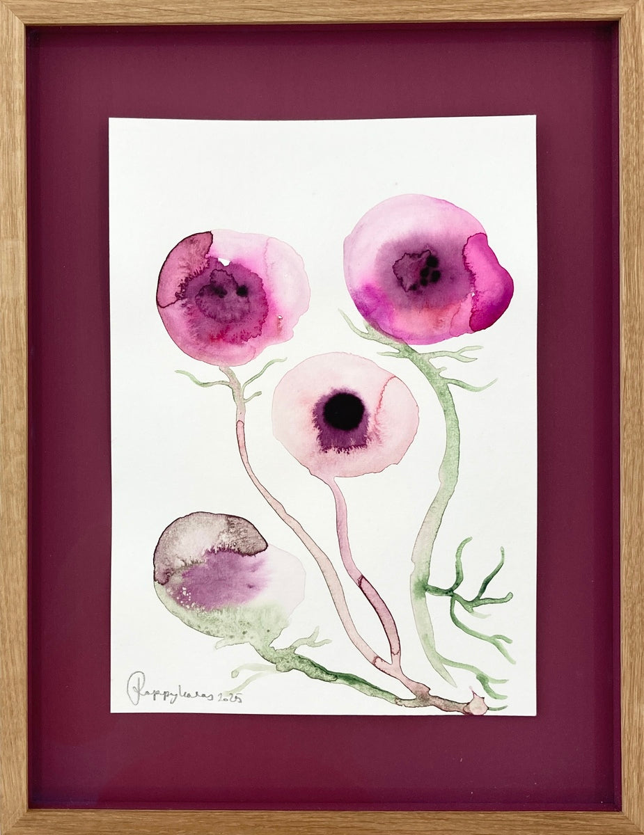 Mixed Poppy