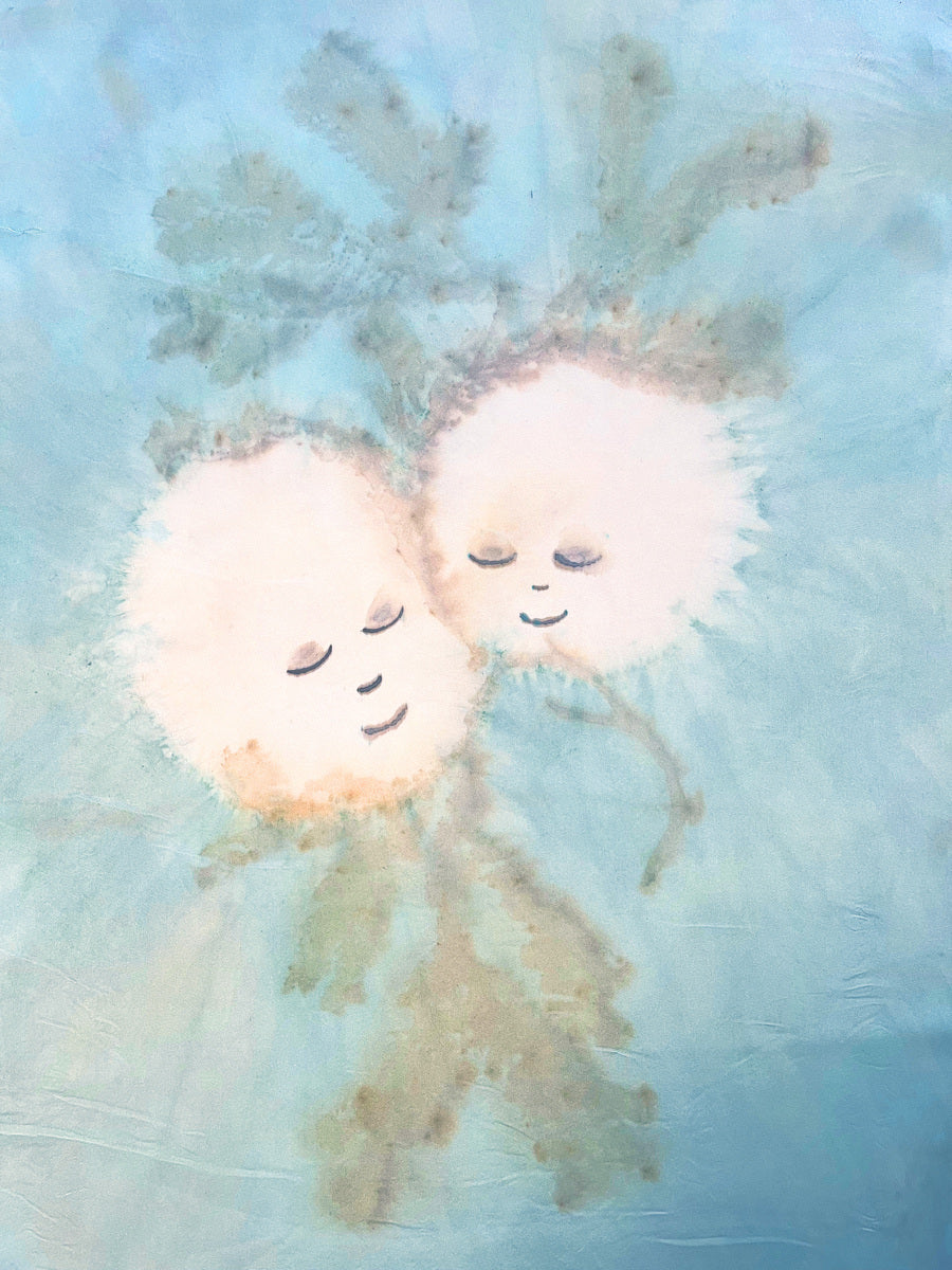 Seaweed Twins