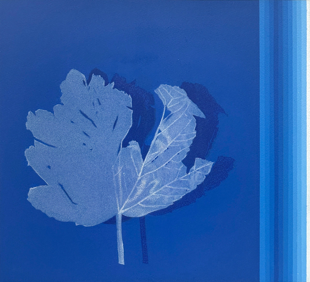 Maple Leaves