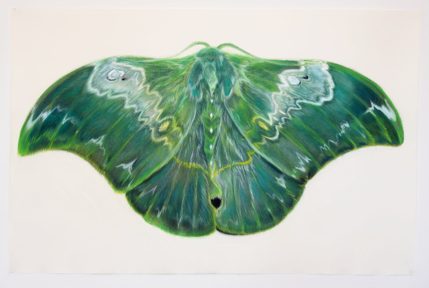 Green Ray