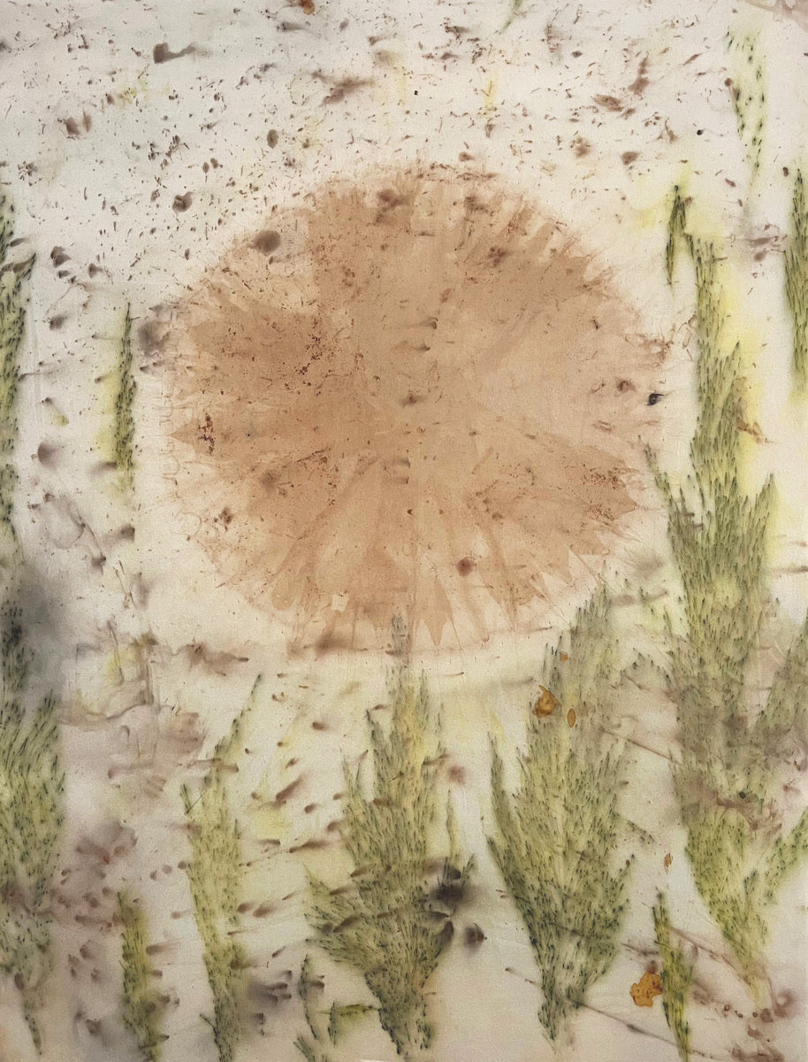 Pine Sun