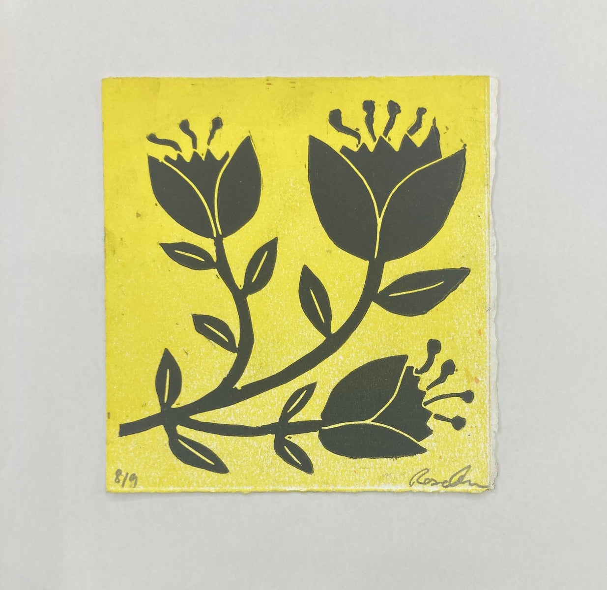 Tulip (Yellow)
