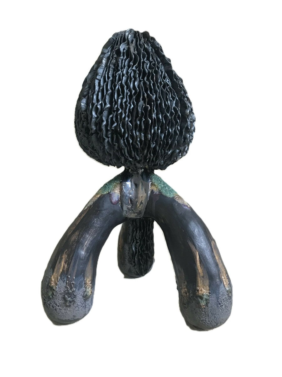 Seed