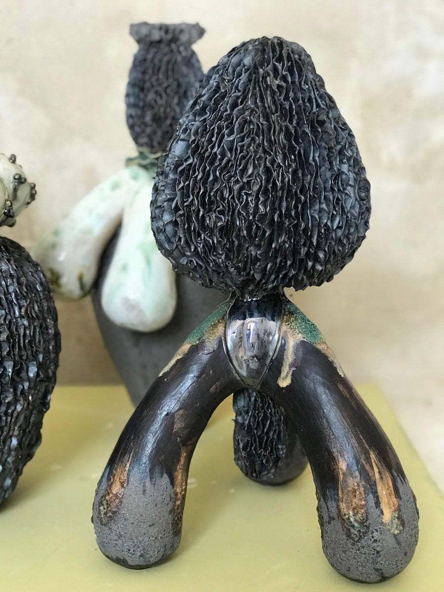 Seed