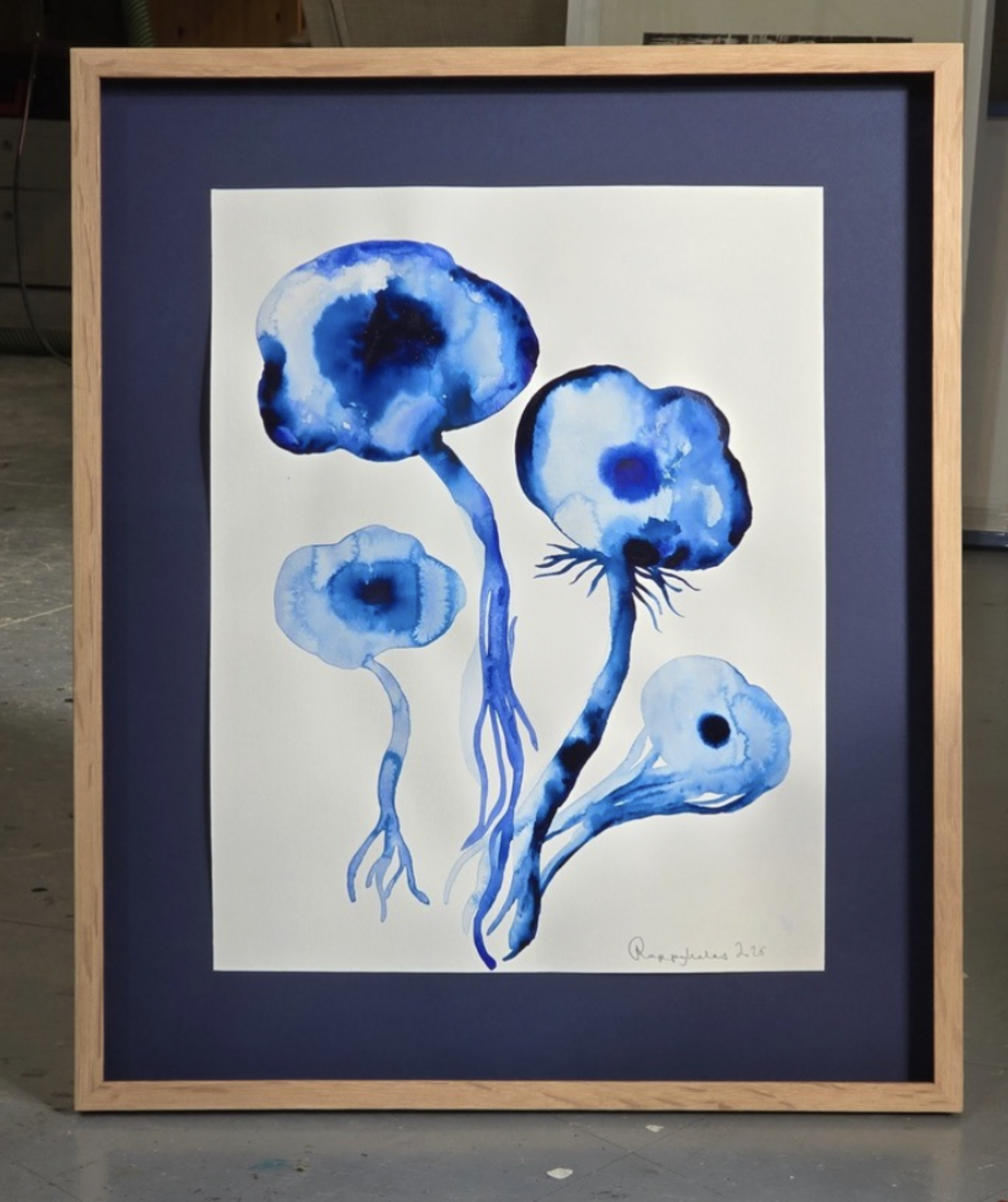 Blue Poppy
